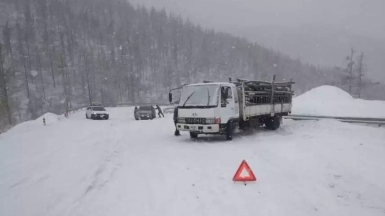 Моңғолияда қарлы боран соғып тұр