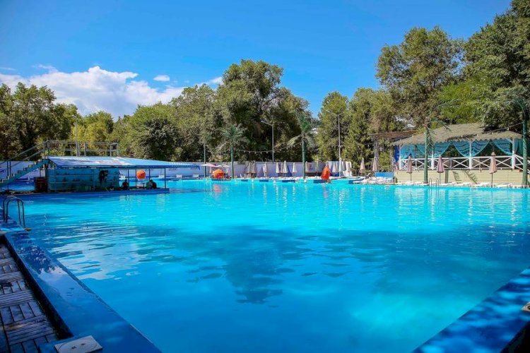 Алматыда   6 мың бала суда жүзуді үйренеді