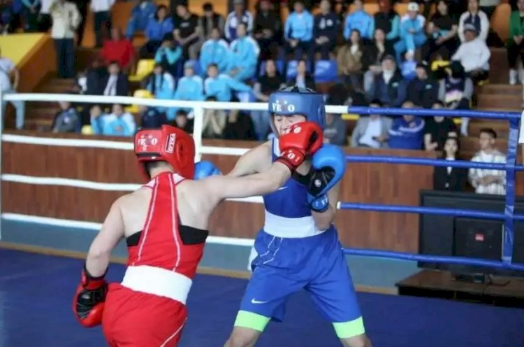 Әйелдер боксы: Жазғы спартакиада жеңімпаздары анықталды