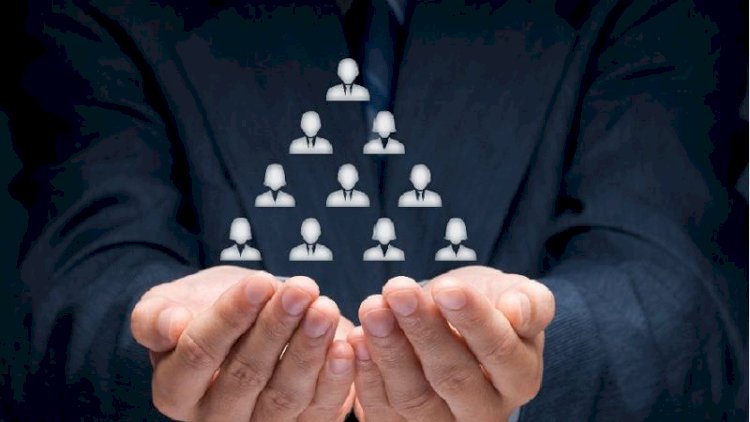 Қазақстандағы қаржы пирамидаларының толық тізімі шықты