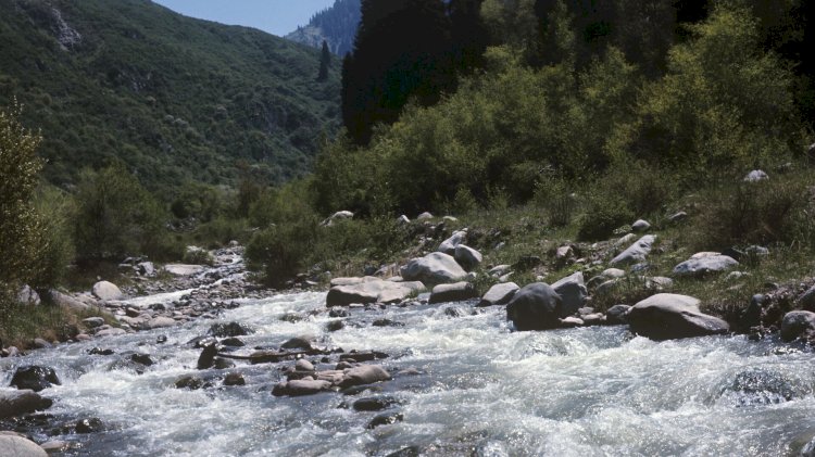 Тауда турист жоғалды