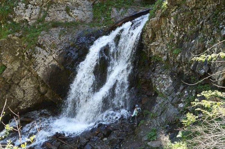 Аустралиялықты Аюсайдан тапты