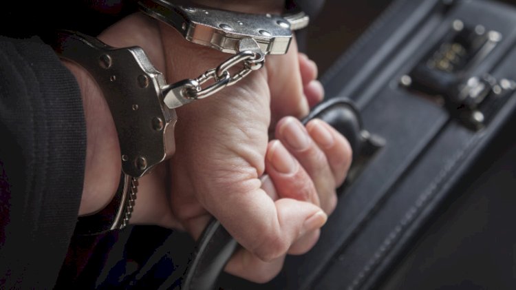 Талдықорғанда Q-net қаржы пирамидасының басшысы қамауға алынды