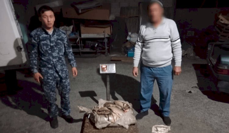 Ауыл тұрғынынан заңсыз ауланған 100 келі балық тәркіленді