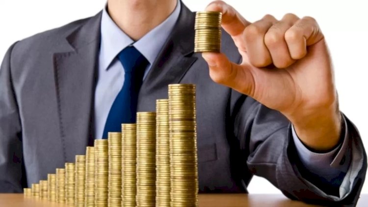 Тағы бір қаржы пирамидасын ұйымдастырушы ұсталды