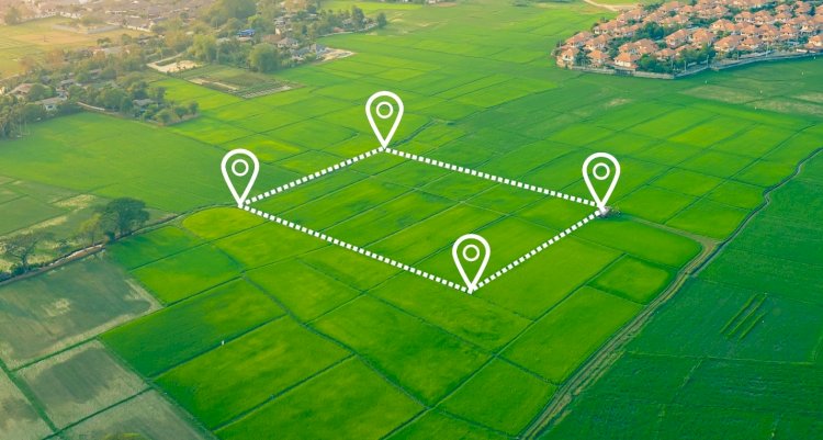 1 200-ден астам жер учаскесі заңсыз берілген