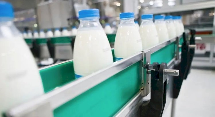 Ресей сүтін Қазақстанға әкелуге шектеу қойылды