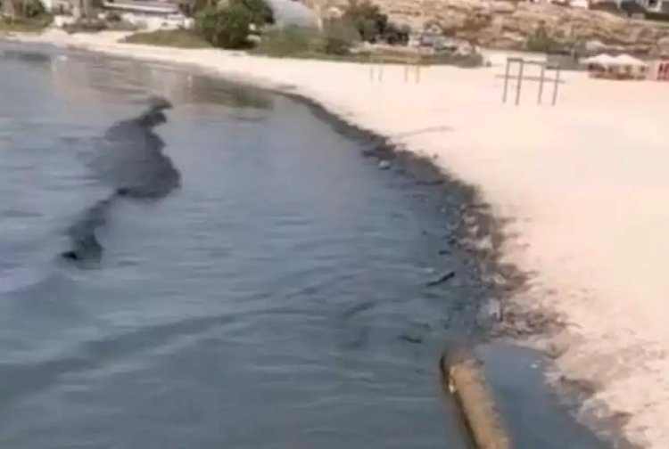 Каспий суы неліктен қара түске боялды?