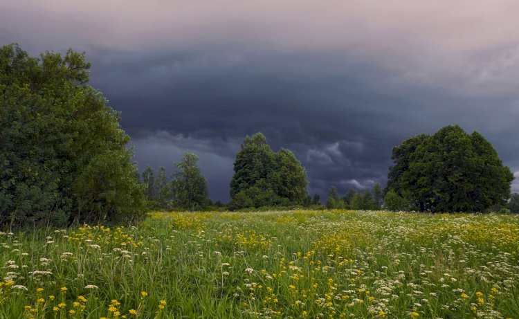 Бүгін еліміздің кейбір аймақтарында жаңбыр жауады