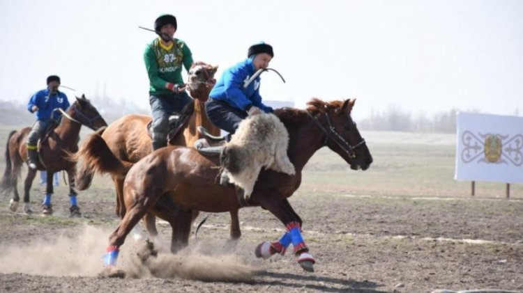 Көкпар форматы өзгереді