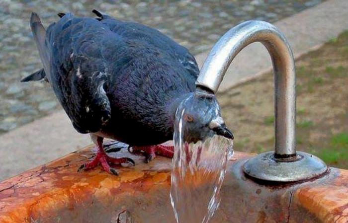 Дәрігерлер күннің ыстығынан қорғану жолдарын ұсынды