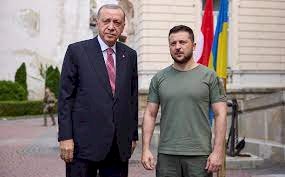 Ердоған Зеленскиймен сөйлесті