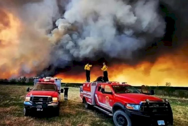 Канадада орман өрті күшейді