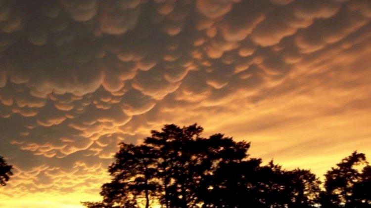 12 маусымға арналған ауа райы болжамы