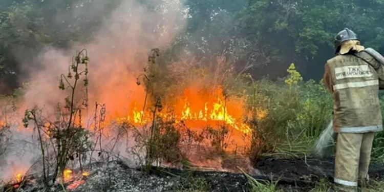 Абай облысындағы өрттен зардап шеккендерге көмек көрсету үшін қор ашылды