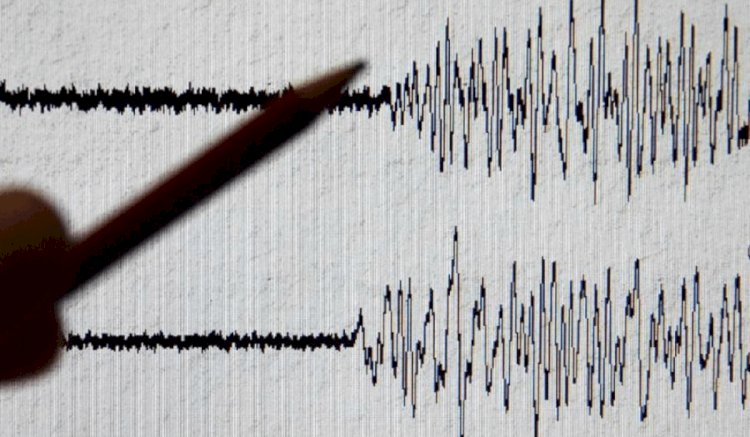 Алматыдан 500 шақырым жерде жер сілкінді