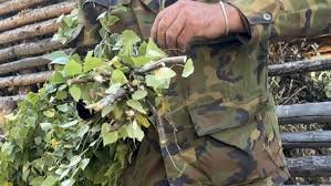 Орман және табиғат қорғау қызметкерлерінің жалақысы өсті