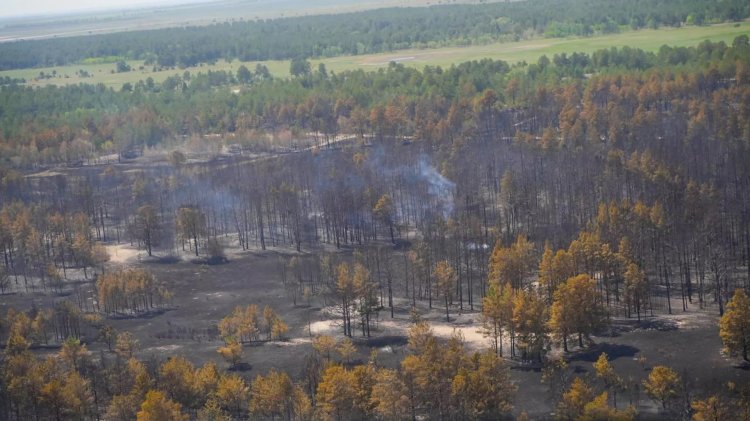Орман өртінің беті қайтты