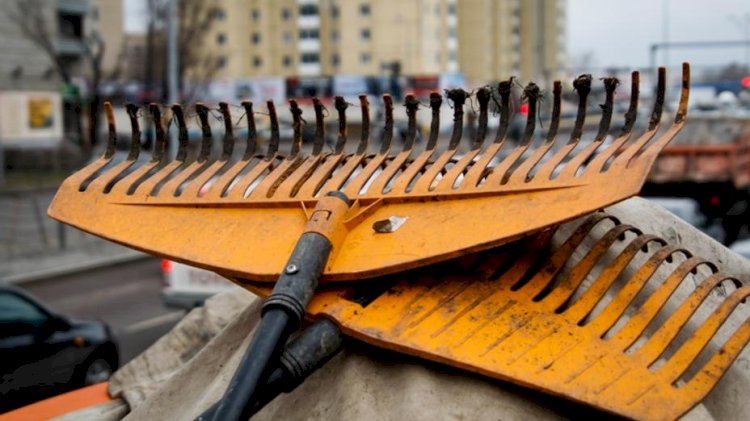 Ертең жаһандық сенбілік өтеді