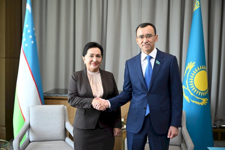 Мәулен Әшімбаев Танзила Нарбаевамен кездесті