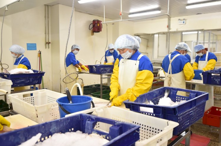 Өндіріс орындары халықтың жағдайын жақсартуға тікелей әсер етеді