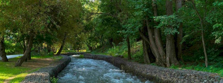 Тереңқұрдағы су қоймасының жоғарғы бөлігі мемлекет меншігіне қайтарылды