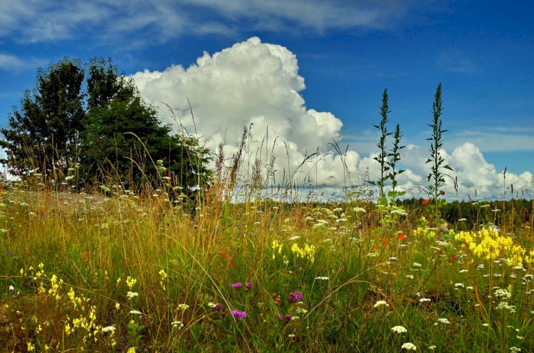 «Шілде» амалы