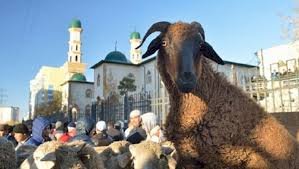 Санитар дәрігерлер Қазақстан халқына үндеу жасады