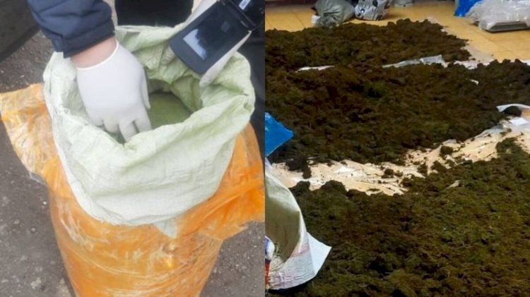 Қонаев қаласында 28 жасар жігіттен екі қап марихуана табылды