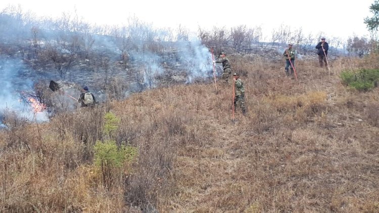 Алматы облысында өрт шықты