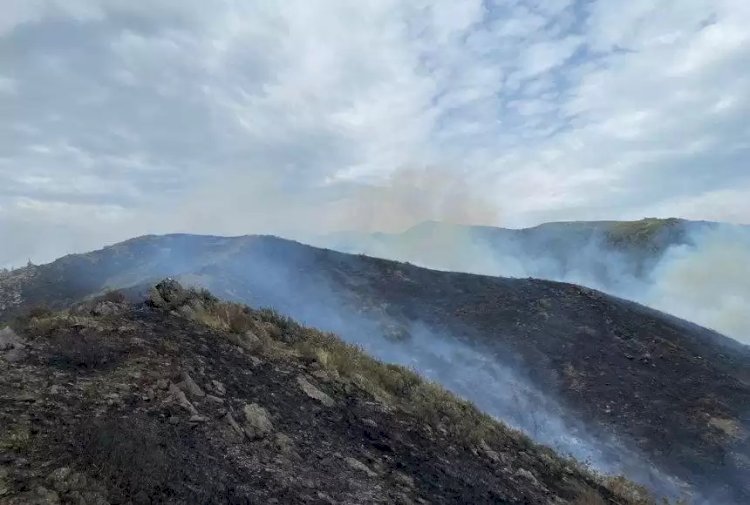 Шығыс Қазақстанда қатты желден дала өрті өшпей тұр