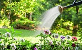 Ұлыбританияда ауыз сумен бақша суаруға және көлік жууға тыйым салынды