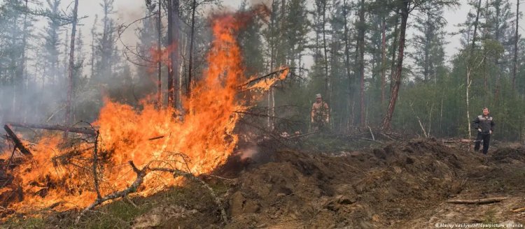 Ресейде орман өрті қайта тұтанды