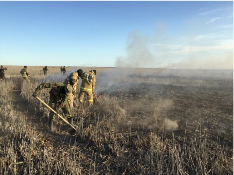 Алматы  облысында  қамыс  өртенді