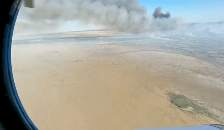 Каспийдегі қамыс өрті 690 гектарға жетті