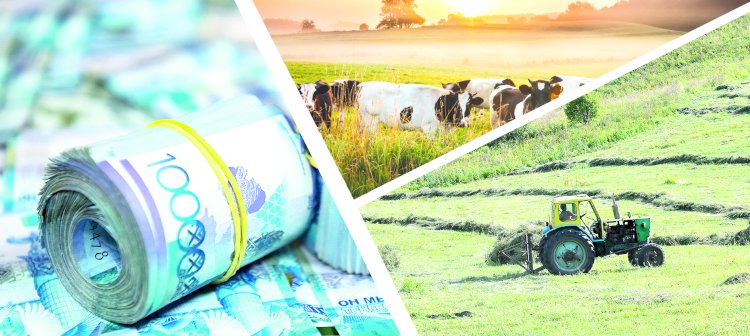 Қазақстандық фермерлерге 133,6 млрд теңге субсидия төленді