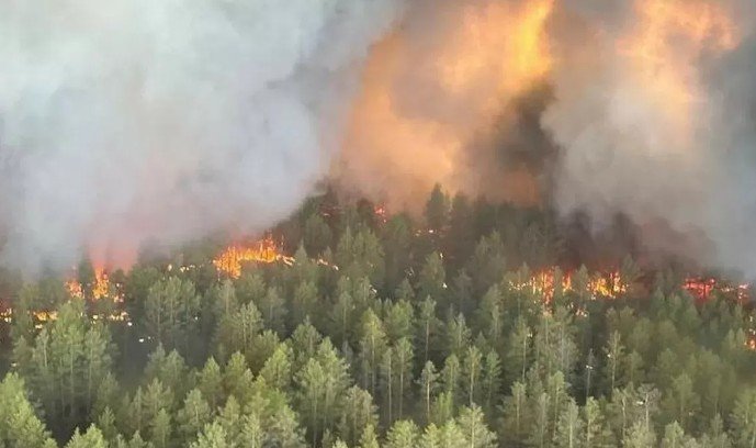 Жыл басынан бері еліміздің 9 облысында өрт оқиғалары жиіледі