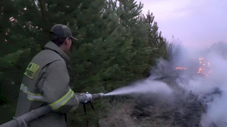 «Ертіс орманы» резерватындағы өртке байланысты үш ауылда төтенше жағдай жарияланады