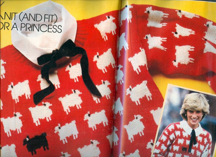 Қара саулық бейнеленген жемпір