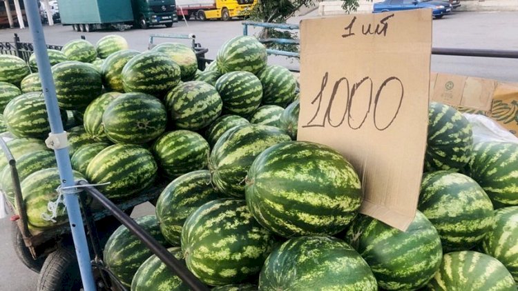 Піскен қарбызды қалай «танимыз»?