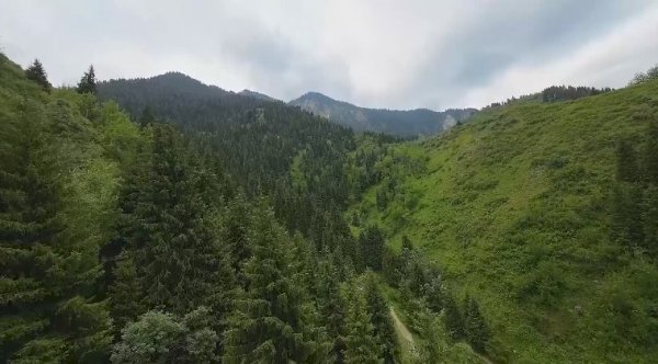 Экологиялық ахуалды жақсарту – алдымызда тұрған негізгі міндеттің бірі