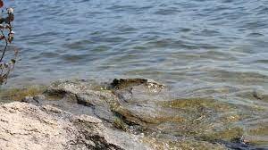 Еліміздегі 17 өзен мен 4 қойманың суы жарамсыз