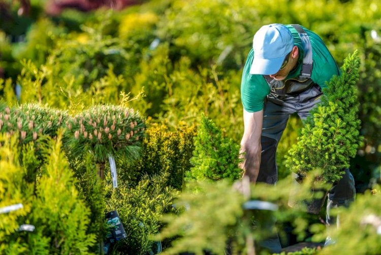  Бұрынғы сот орындаушысы – қазір бағбан...