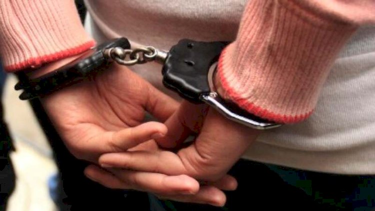 Алматы облысында кішкентай қыздың аузы мен қолын байлап әкеткен әйел ұсталды