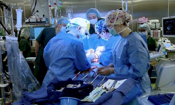 Алматыда жүрекке бірегей ота жасалды