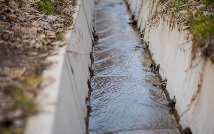  «Қарасу» көлін механикалық тазарту жұмыстары жүргізілуде