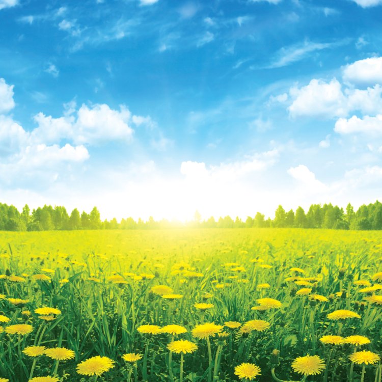 31 шілдеге арналған ауа райы болжамы