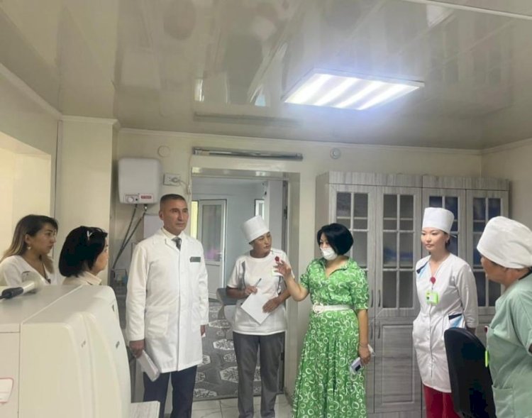 Мониторингтік топ Абай облысына барды