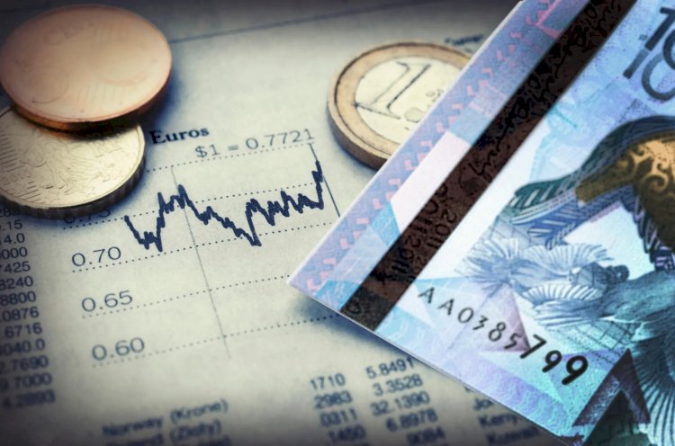 Қайтарылған активтерді басқаратын компания құрылады