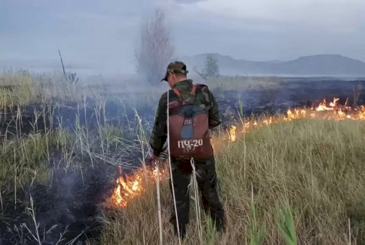 Бұқтырма су қоймасында орналасқан аралда өрт шықты